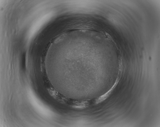X0000086280191200703291511
