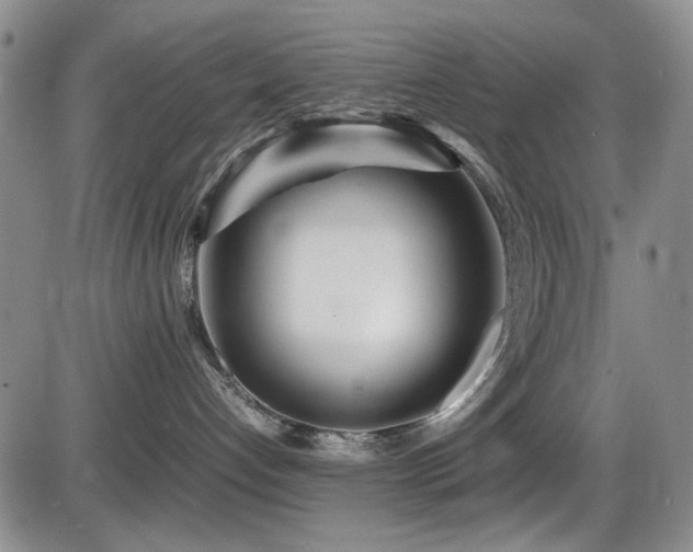 X0000086280192200703291511