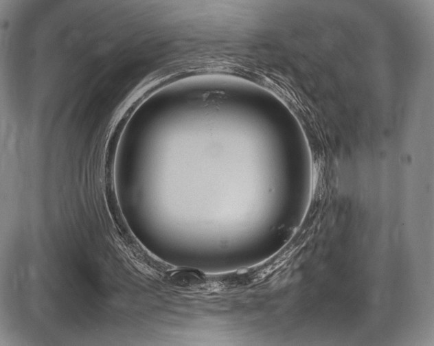 X0000086280195200703291510