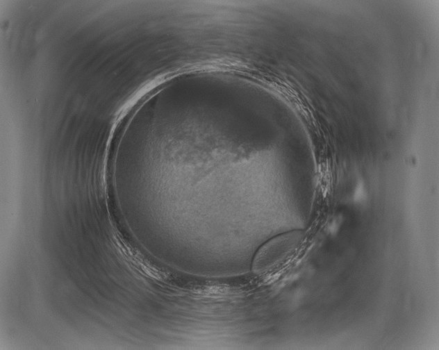 X0000086280196200703291510