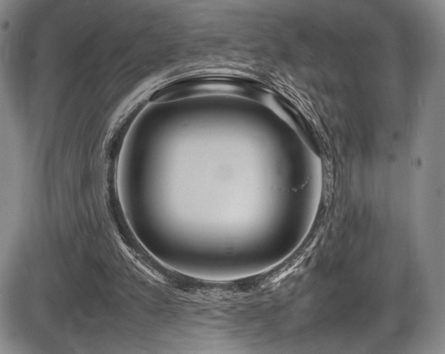 X0000086280197200703291510