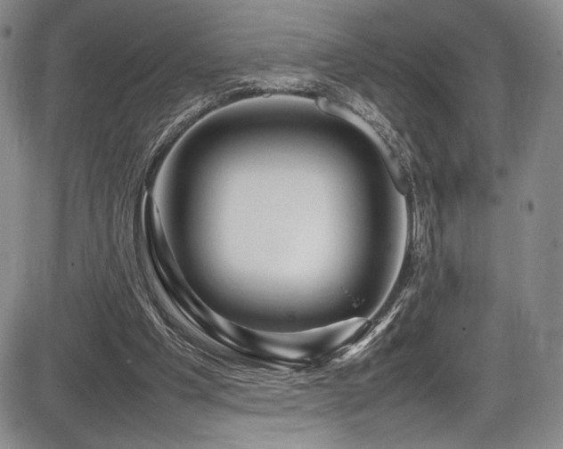 X0000086280201200703291510