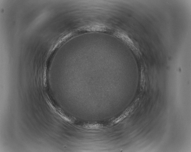 X0000086280202200703291510