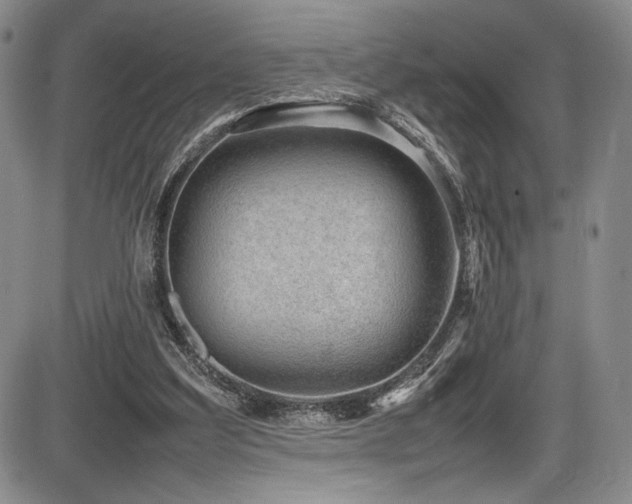 X0000086280203200703291510
