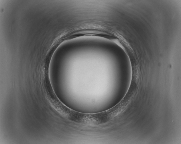 X0000086280207200703291510