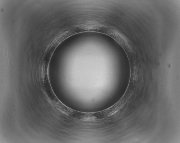 X0000086280210200703291509