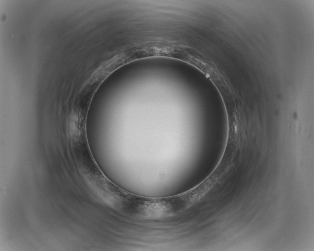 X0000086280218200703291509