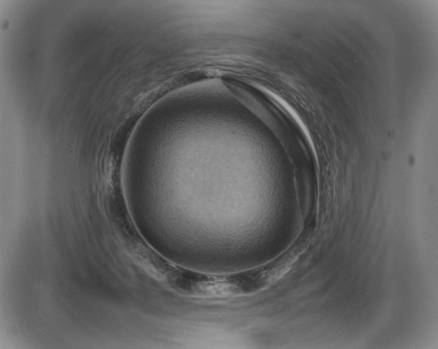 X0000086280219200703291509