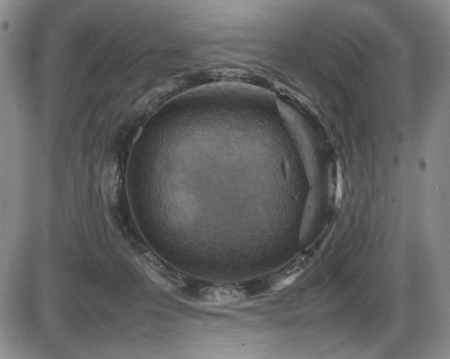 X0000086280223200703291509