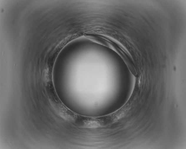 X0000086280224200703291509