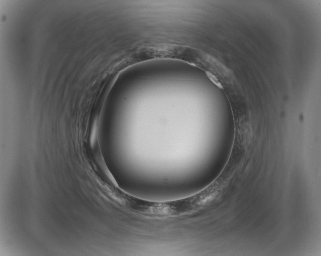X0000086280225200703291509