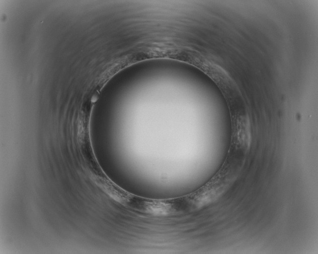 X0000086280226200703291509