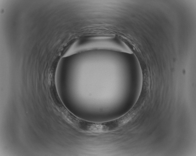 X0000086280227200703291509