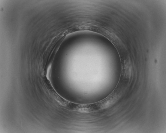 X0000086280228200703291509