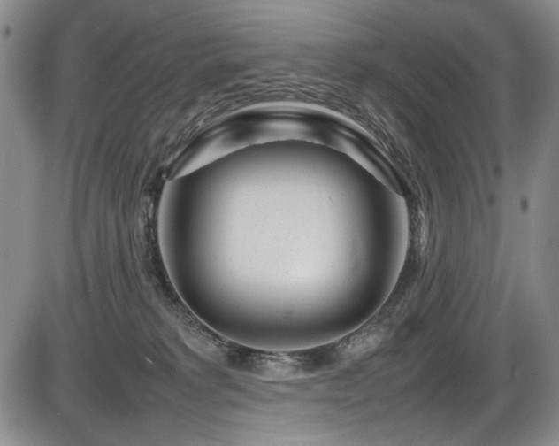 X0000086280229200703291509