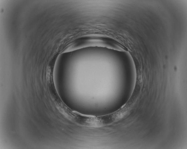 X0000086280231200703291509