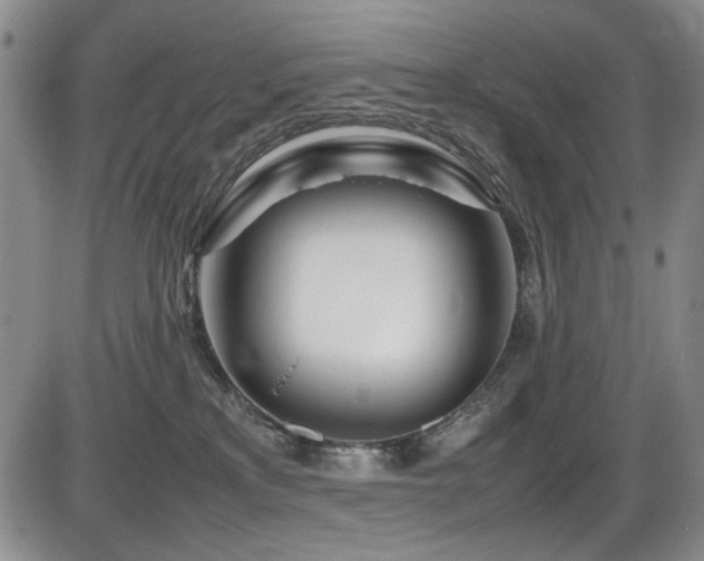 X0000086280233200703291509