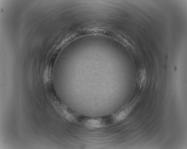 X0000086280236200703291509