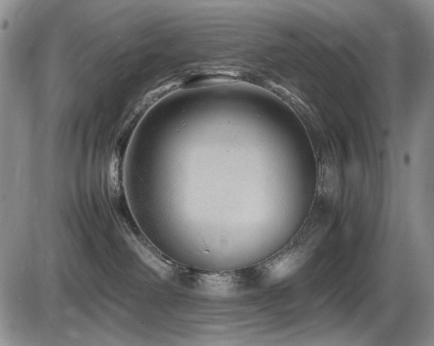 X0000086280238200703291509