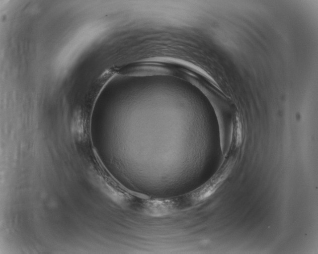 X0000086280239200703291509