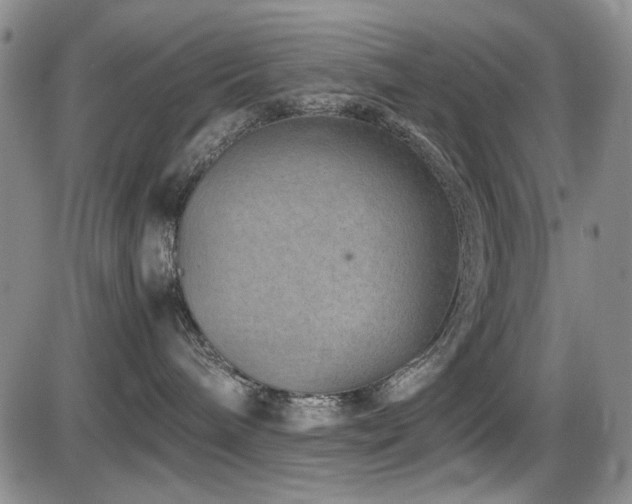 X0000086280240200703291509