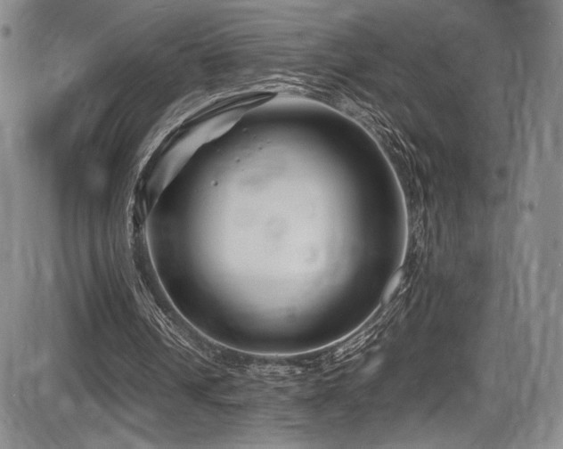X0000086280242200703291508