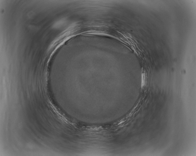 X0000086280243200703291508