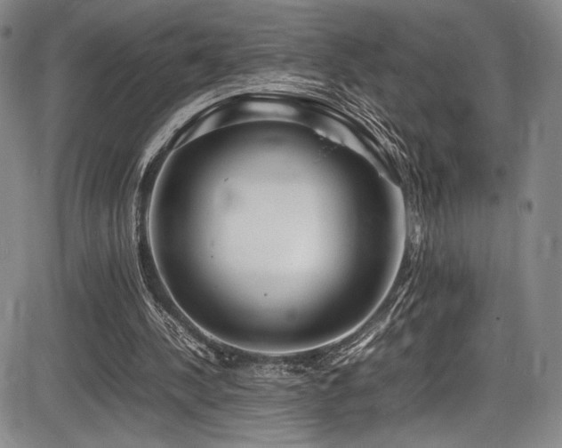 X0000086280244200703291508