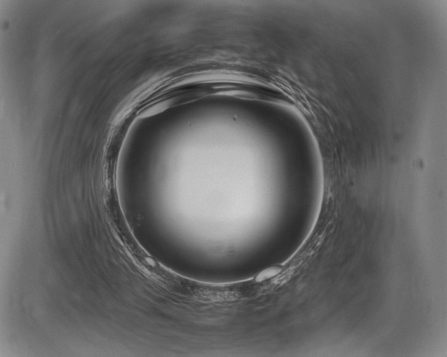 X0000086280245200703291508