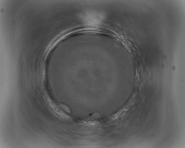 X0000086280247200703291508