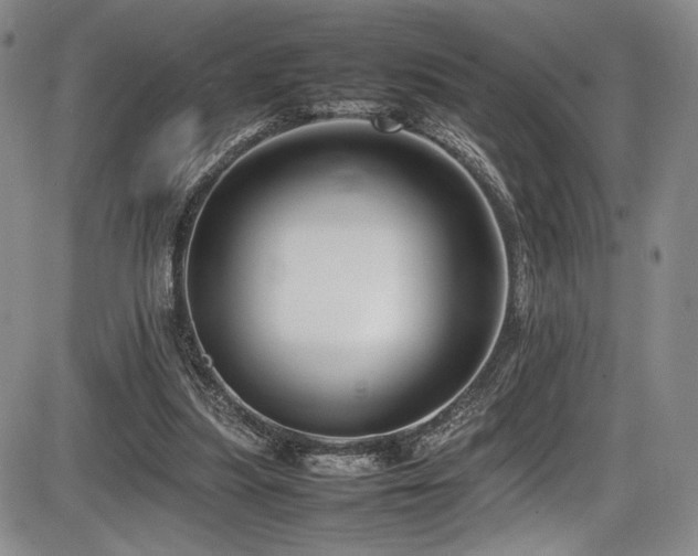 X0000086280251200703291508