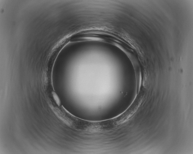 X0000086280252200703291508