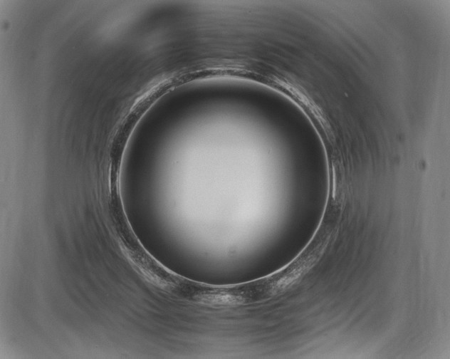 X0000086280253200703291508