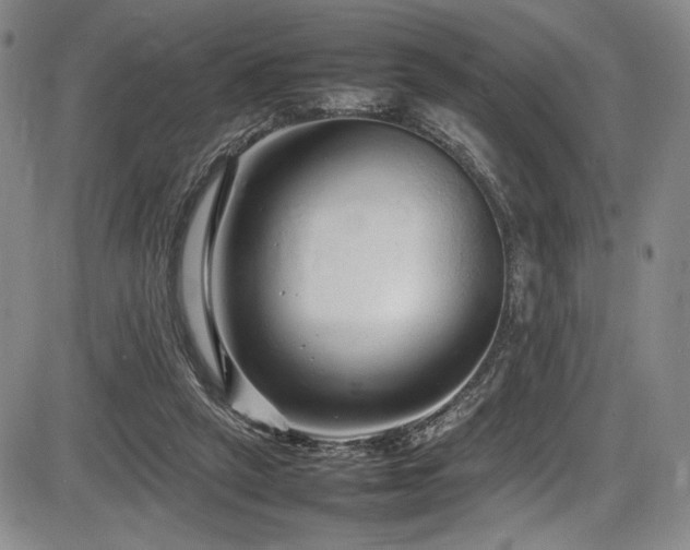X0000086280257200703291508