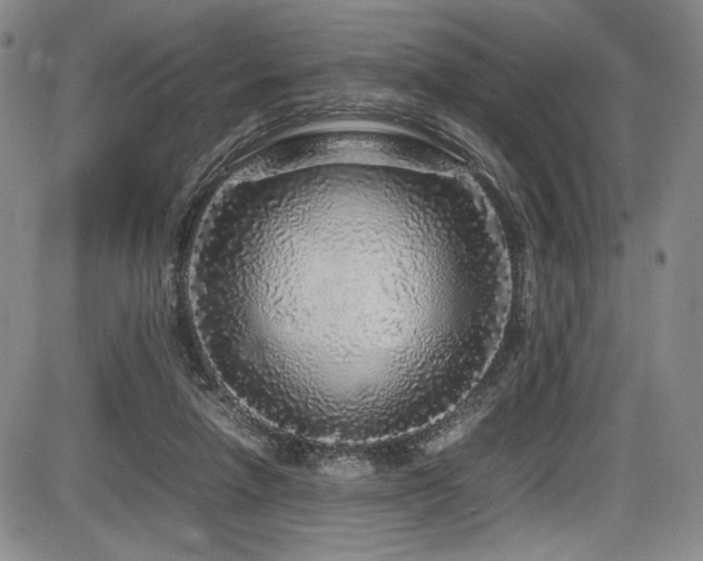 X0000086280258200703291508