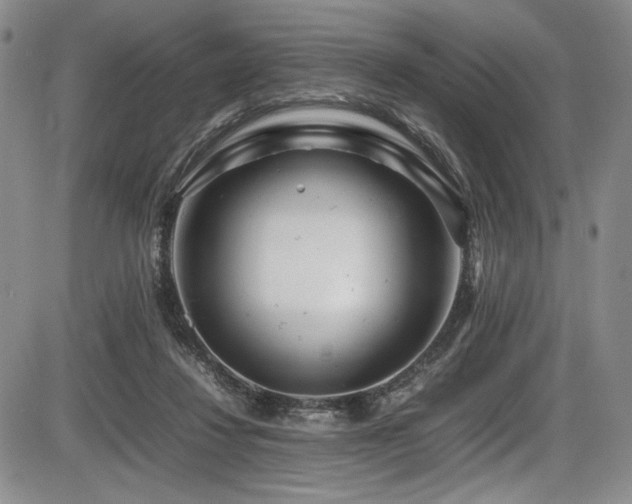 X0000086280260200703291508