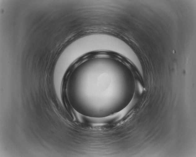 X0000086280264200703291509