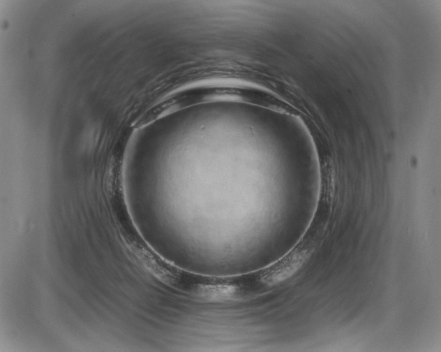 X0000086280266200703291509