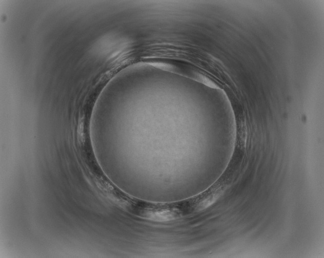 X0000086280267200703291509