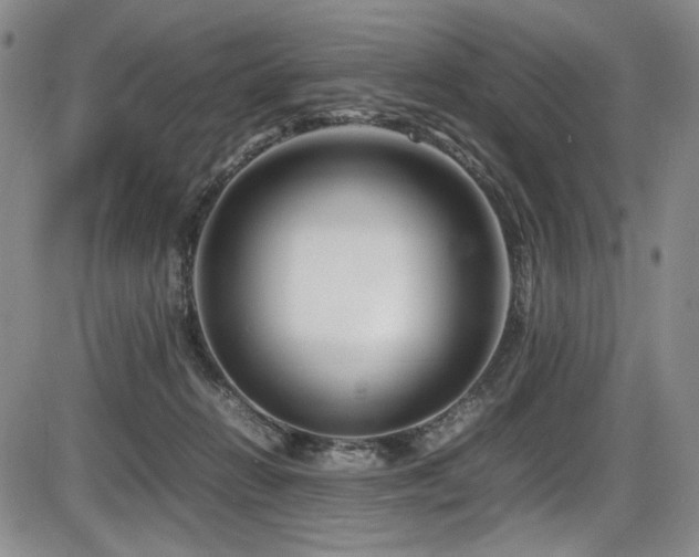 X0000086280270200703291509