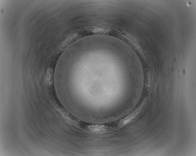 X0000086280273200703291509