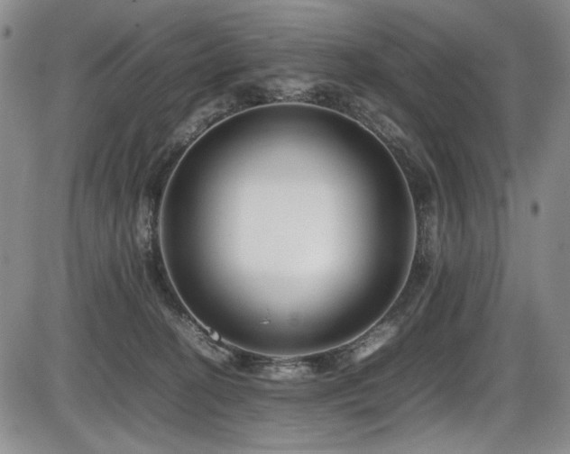 X0000086280274200703291509