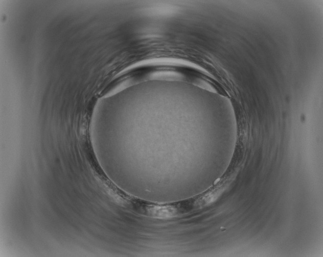 X0000086280277200703291509