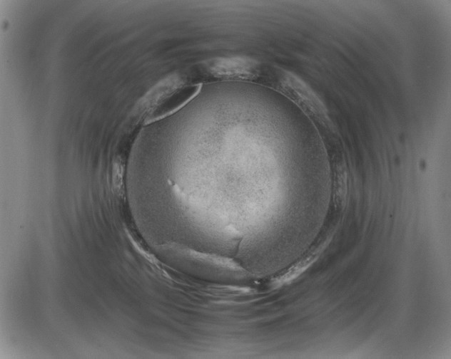 X0000086280281200703291509