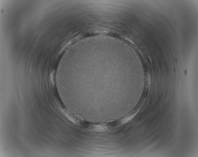 X0000086280286200703291509