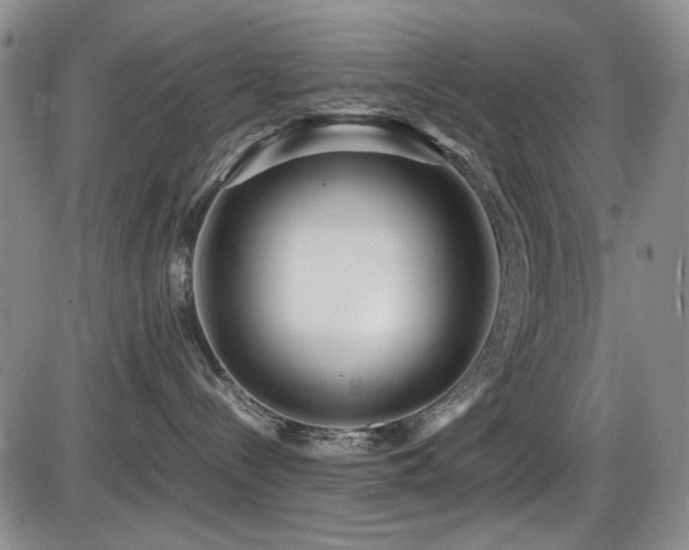 X0000086280288200703291509
