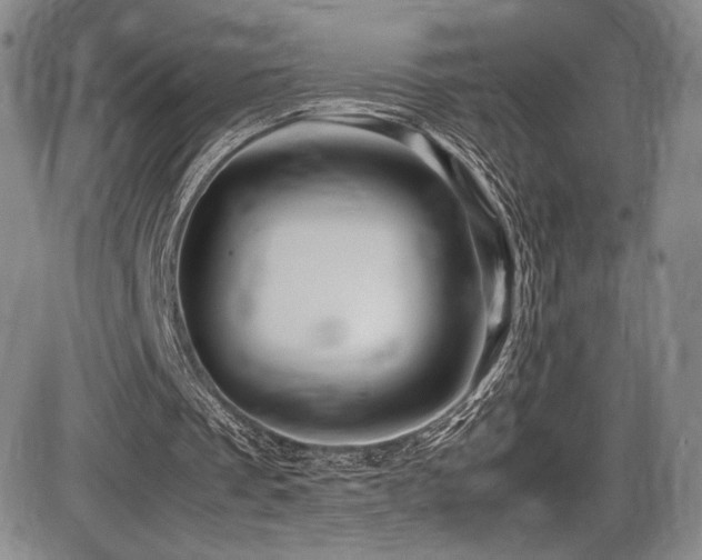 X0000086280289200703291508