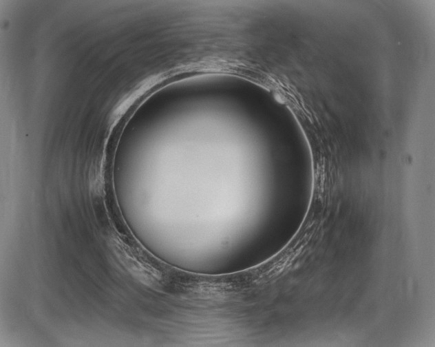 X0000086280292200703291508