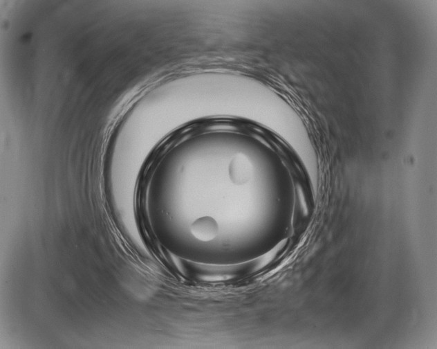X0000086280293200703291508