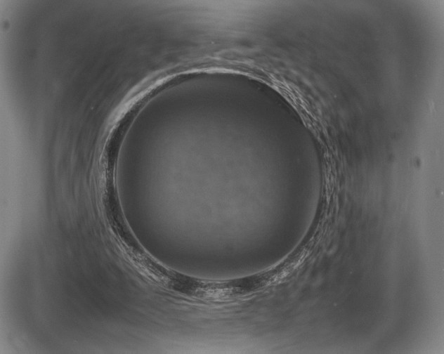 X0000086280295200703291508